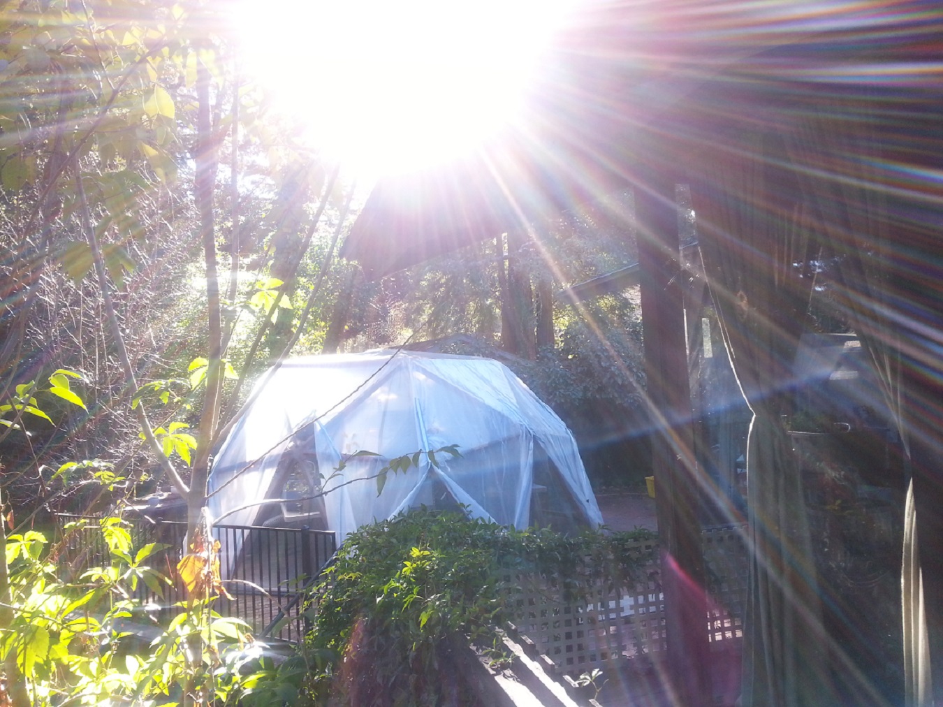 Geodesic-Domes-harness-the-sun