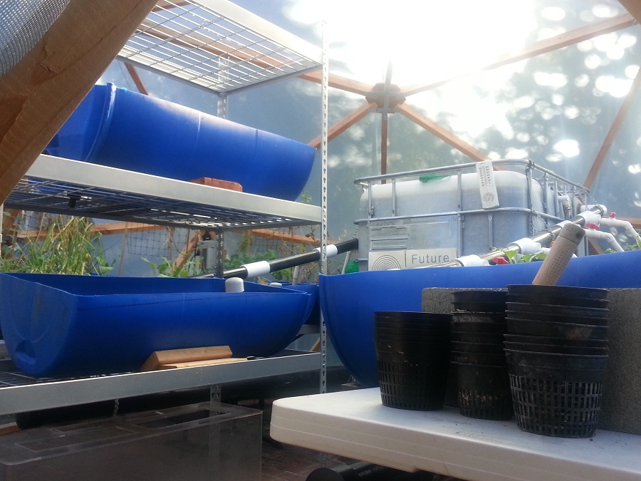 Aquaponic Grow Beds
