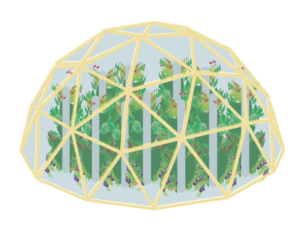 geodesic-greenhouses